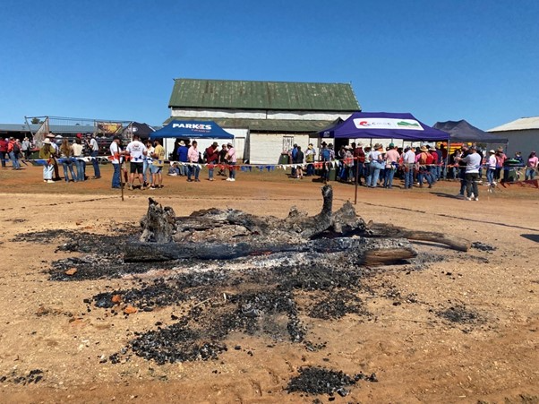 Trundle Bush Tucker Day